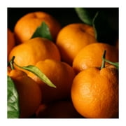 Satsuma Mandarins - 4 lb