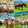 thumbnail image 2 of Heavy-Duty Galvanized Steel Pasture Feeder, 60 Gallon Livestock Goat Feeder & Goat Hay Feeder, 60" L x 16" W x 31.5" H for Horses, Ponies, Cow, Calves, Sheep, 2 of 7