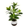 thumbnail image 1 of Lerman Decor's plant in cement pot, 1 of 4