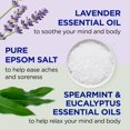 thumbnail image 3 of Sal Epsom Dr. Teal's de lavanda y eucalipto, 2 x 2,72 kg, 3 of 9