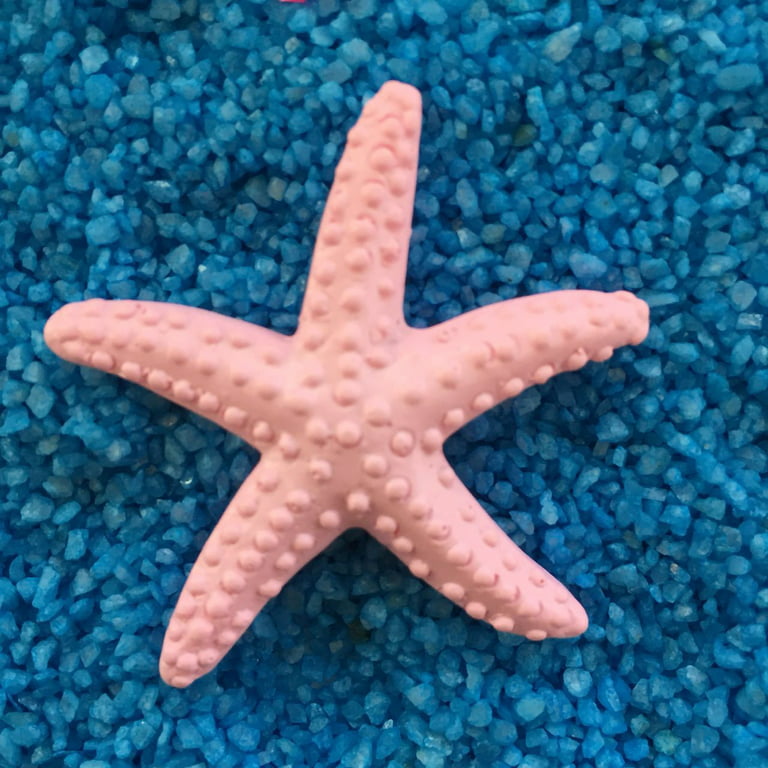 5-100Pcs Mini Natural Sea Stars Starfish Craft Decoration Beach Cottage  Weddings