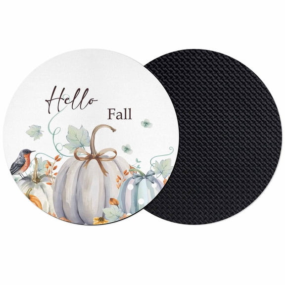 White Pumpkin Fall Coasters Set of 2, Absorbent Coasters for Drinks, Green Leaves Thanksgiving Botanical Bird Coaster for Desk Coffee Table Protection, Home Decor House Warming Gifts 4"