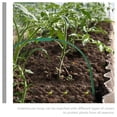 thumbnail image 3 of WEUVEB 2Ud Green Garden Hoops with Frame Complete Kit Sturdy Tunnel Plant Support, 3 of 8