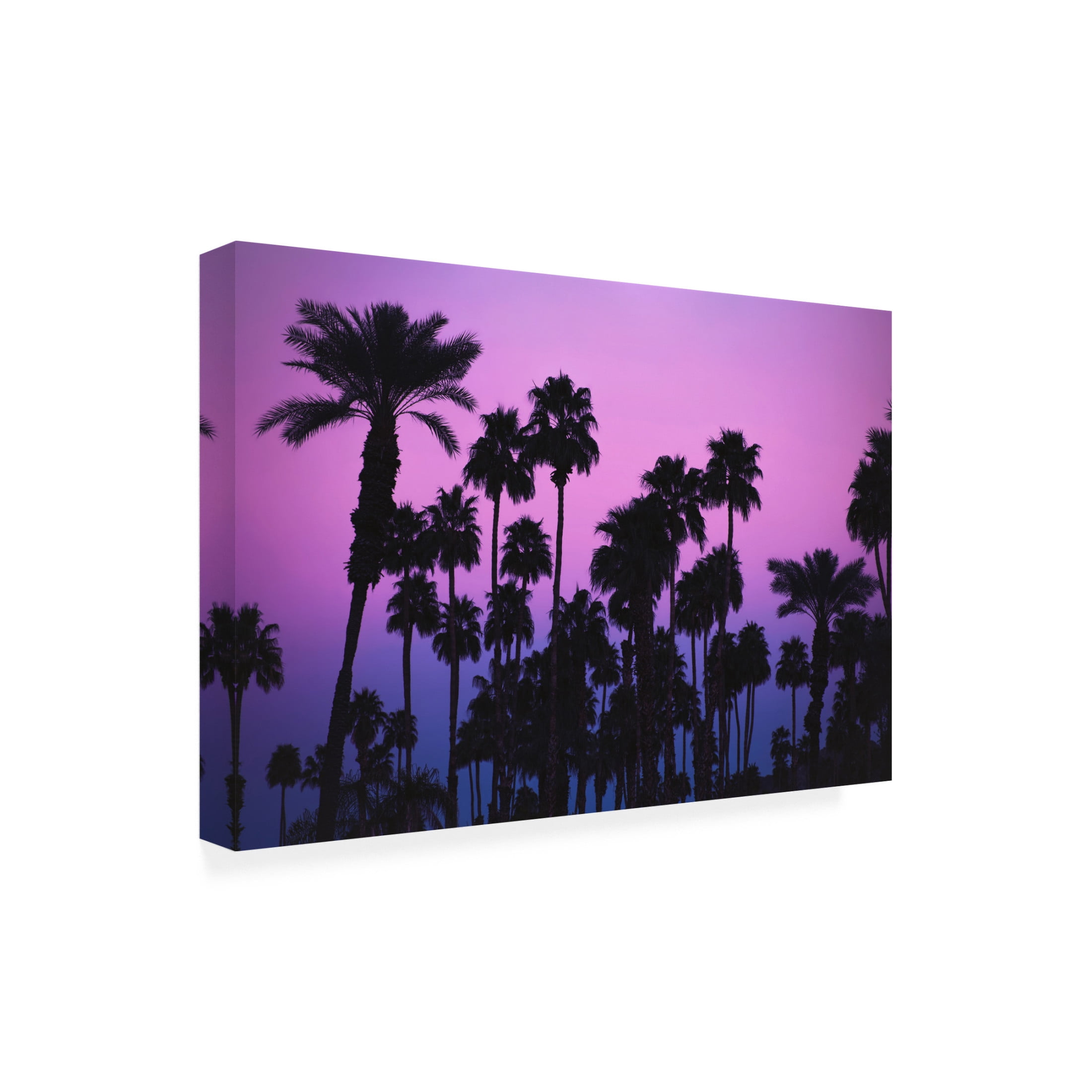 Trademark Fine Art Tim Mossholder Palms With Pink Sky Canvas Wall Art