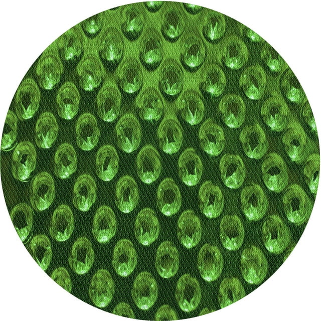 Ahgly Tapis Rond Lavable en Machine Intérieur Transitionnel Vert Émeraude Profond, 3 Pieds Rond