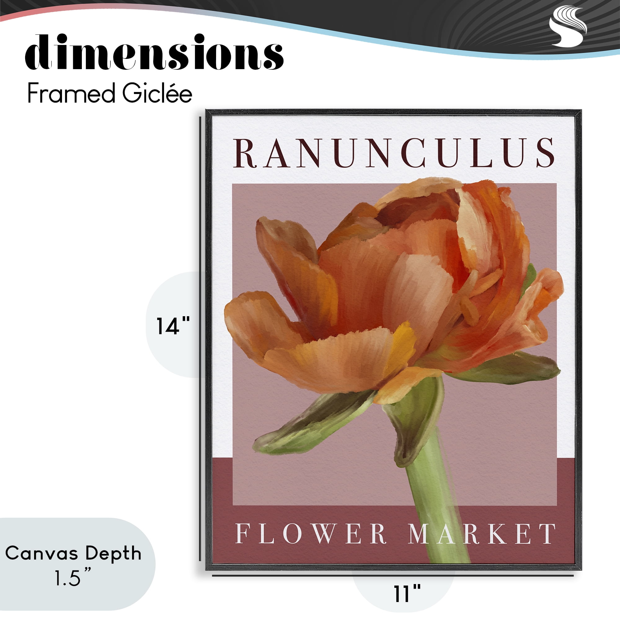 Stupell Industries Ranunculus Flower Market Black Framed Giclee Art, design by Jennifer Stith