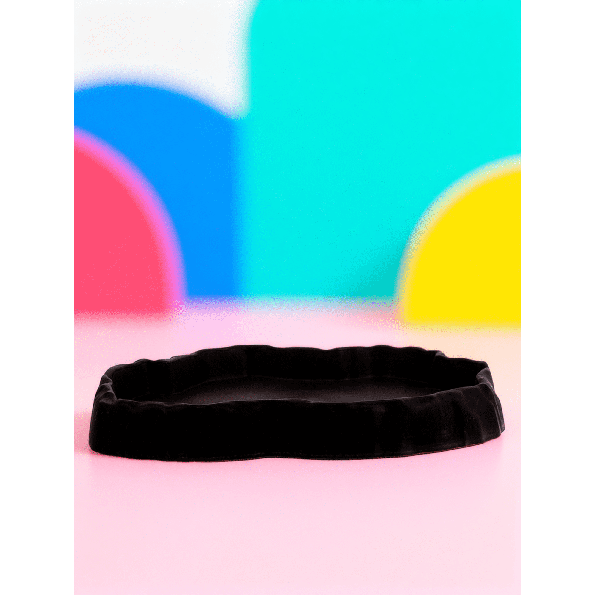 RENACLIPY 1Pc Reptile Food Basin Black Pet Feeding Bowl with Escape Prevention Rim Easy to Clean