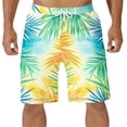 thumbnail image 2 of HAOTAGS Men's Swim Trunks With Pockets, Quick-Dry Elastic Drawstring Waist Beach Shorts 4-Way Stretch Bathing Suit Multicolor Size 2XL, 2 of 5