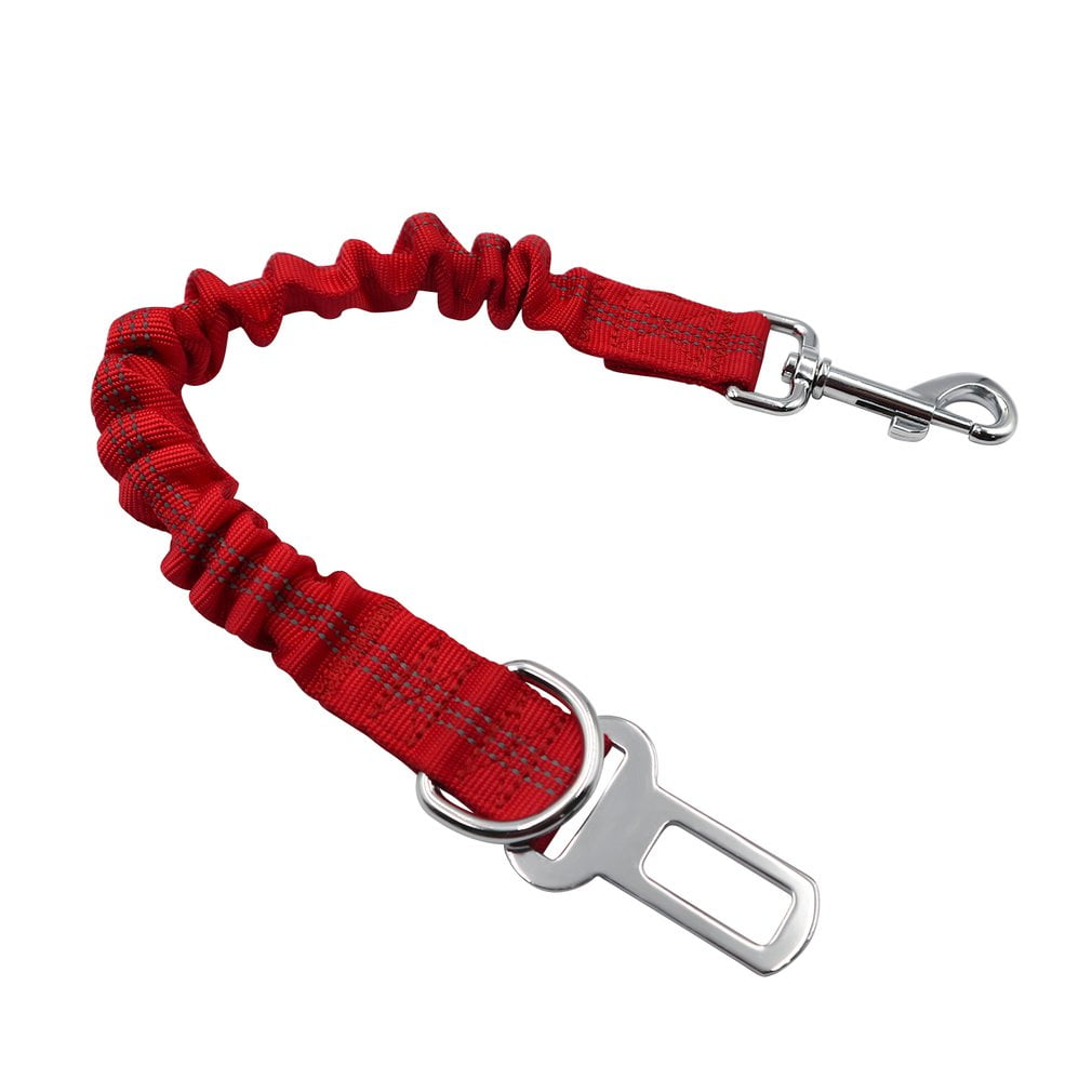 long leash walmart