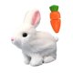thumbnail image 2 of Conejo suave juguete electrónica para caminar salto de salto son del encantador juguete interactivo conejo eléctrico de peluche para niños regalo de, 2 of 9