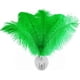 thumbnail image 1 of Piokio 20 plumas de avestruz negras naturales de 10 a 12 pulgadas (25 a 30 cm) a granel para decoraciones de Halloween, centros de mesa de bodas, decoraciones de Gatsby, 1 of 4