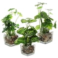 thumbnail image 2 of Coofit Artificial Plant Decorative Lifelike 4-leaf Fake Plant Artificial Leaf, 2 of 10