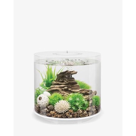 White Biorb Tube 15 4 Gallon Aquarium With Multi Colored Remote