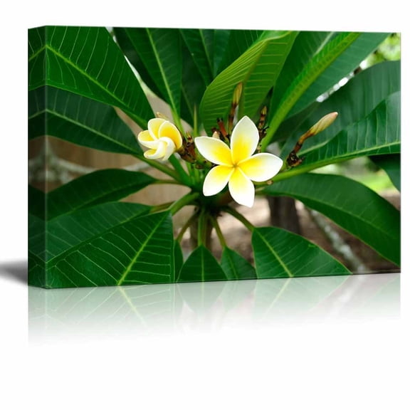 wall26 Canvas Prints Wall Art - Blooming Petunia in Tropical Green Setting | Modern Wall Decor/Home Decoration Stretched Gallery Canvas Wrap Giclee Print. Ready to Hang - 32" x 48"