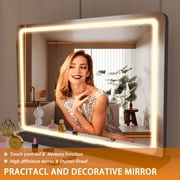 Hasipu 32x22 LED Vanity Mirror with 10X Magnification - Dimmable Touch Screen Makeup Mirror with 3 Light Modes, Round Black Lighted Mirror
