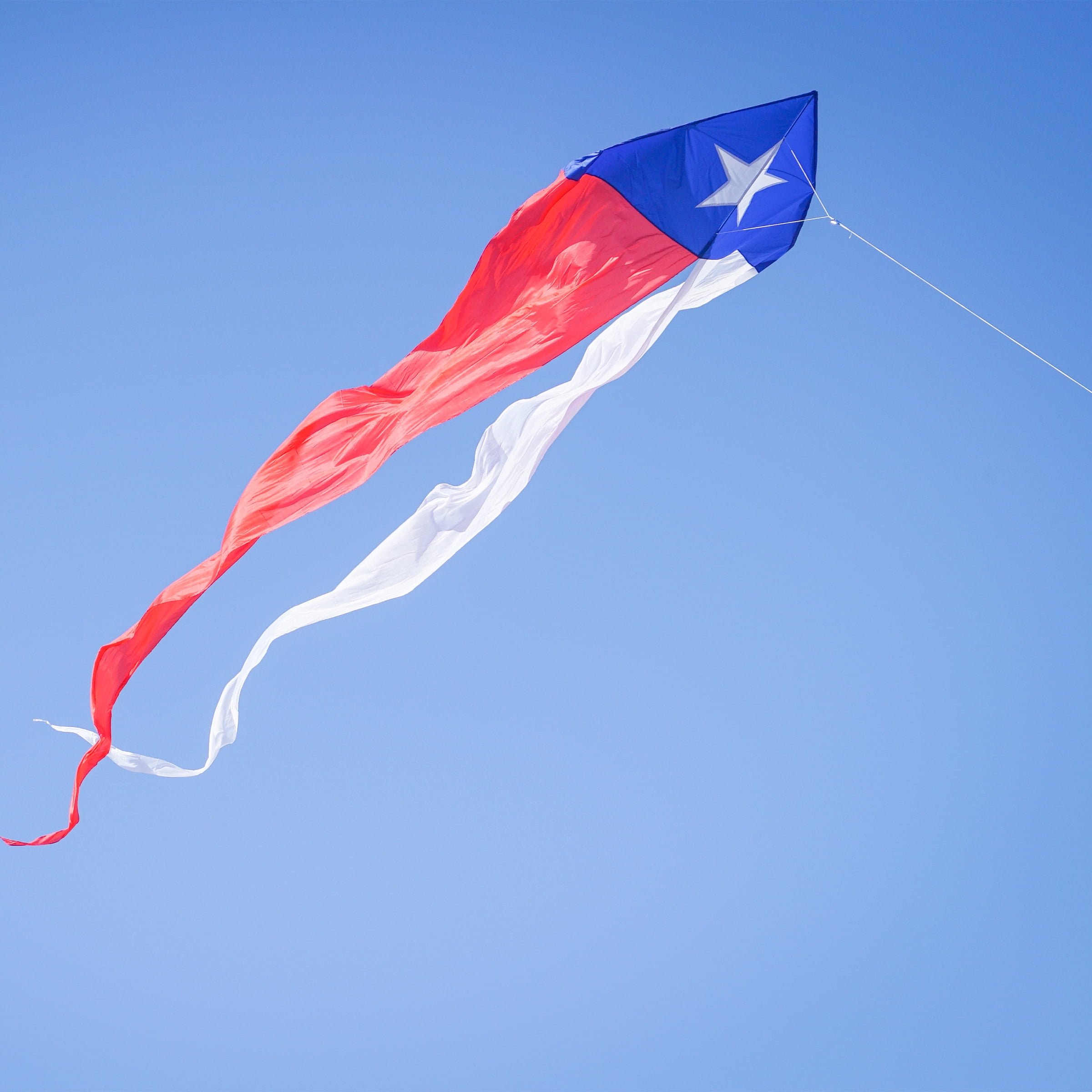 In the Breeze 3357 — Texas 77" Wave Delta Kite — Easy Flying Single Line Large Ripstop and Taffeta Kite