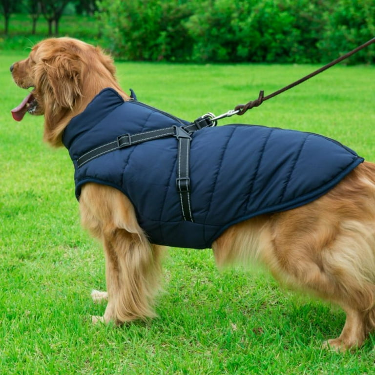Dog coat with store hole for harness