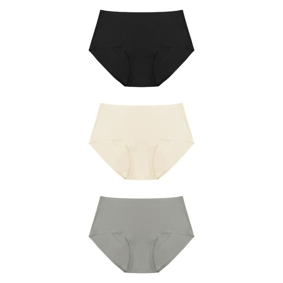 HSIA Women's Underwear Packs Plus Size Soft Stretch Seamless No Show Briefs Panties 3 Packs XL