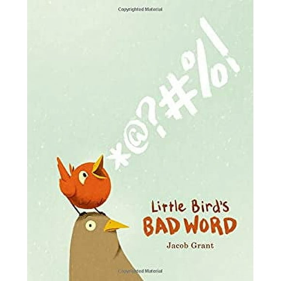 Little Bird's Bad Word : A Picture Book 9781250051493 Used