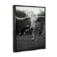 thumbnail image 4 of Stupell Industries Resting Longhorn Photography Animals & Insects Photography Black Floater Framed Canvas Art Print Wall Art, 17 x 21, 4 of 10