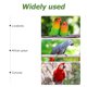 thumbnail image 5 of 10 piezas de soportes para pájaros, perchas de plástico para loros, accesorios para jaulas de pájaros, 5 of 6