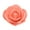 Dusty pink, variant on (Clearance) BNNG Artificial Roses, 50 Pcs Artificial Rose Flower Heads for Crafts 1.97in Foam Roses Fake Roses Heads for DIY Wedding Centerpieces Arrangements Home Decorations(Pink)
