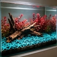 thumbnail image 6 of Fufafayo Aquarium Glow Stones Shells Decor, 50 Pieces Glow In The Dark Fish Tank Ornaments, Fluorescent Seashells Conch for Freshwater Saltwater Tank, Glowing Pebbles for Betta Tank Decoration, 6 of 6