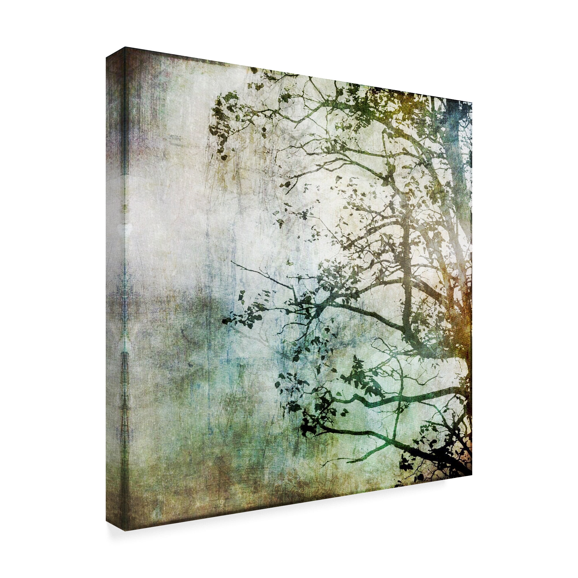 Trademark Fine Art 'Branching Out Tree' Canvas Art by Christine O’Brien