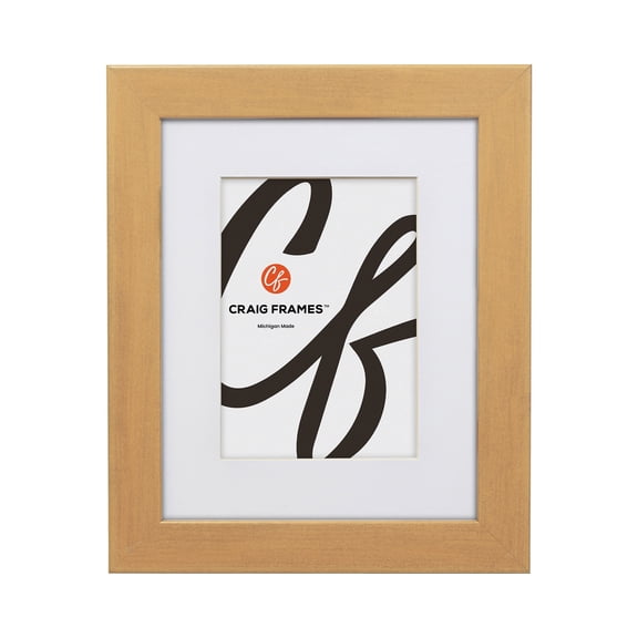 Craig Frames 14x18 inch Gold Picture Frame Matted for a 12x16 Photo
