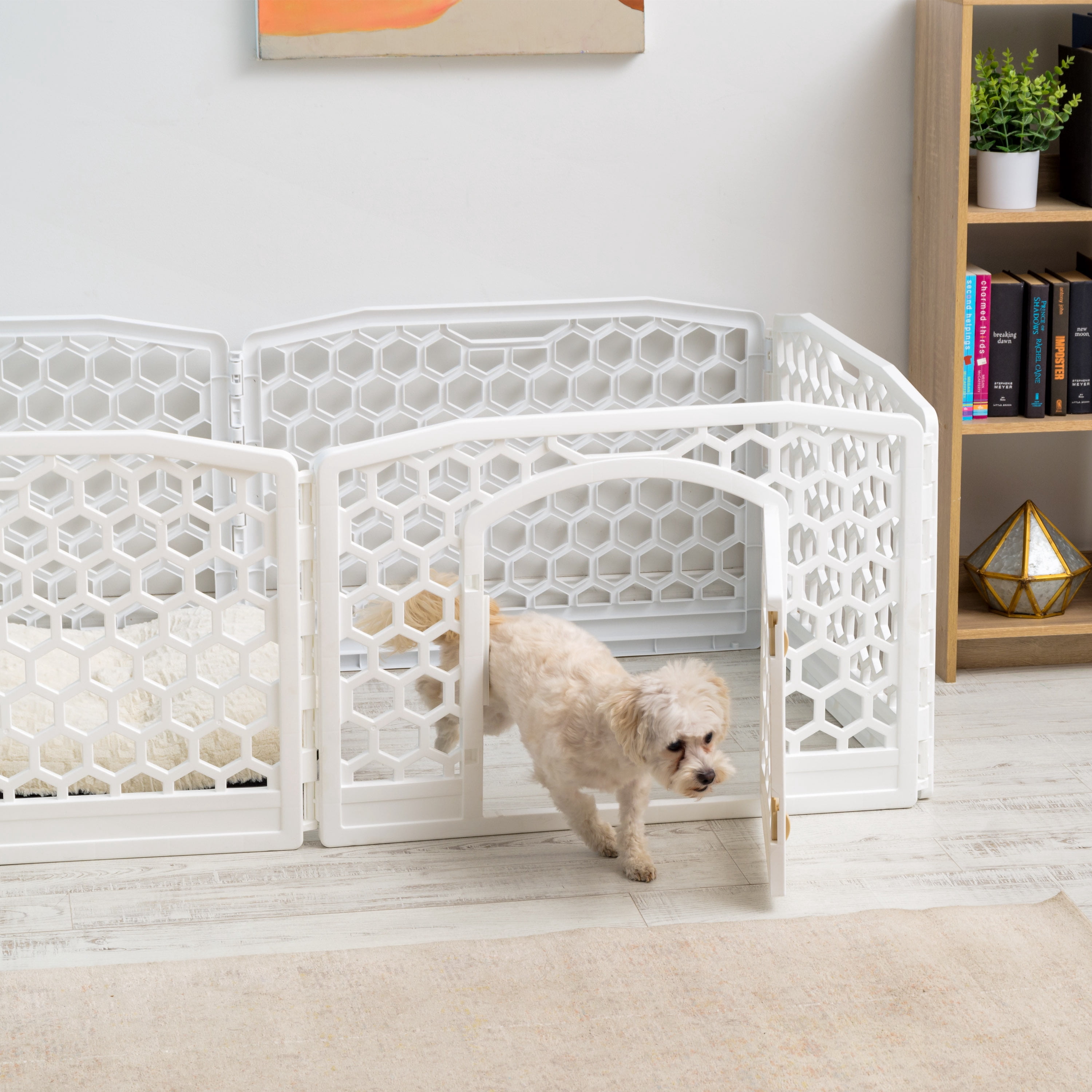 IRIS, Dog Exercise Playpen, White, 24-in, 6-Panel