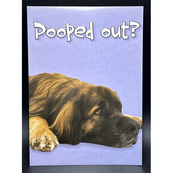 Get Well Soon Greeting Card w/Envelope