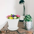 thumbnail image 6 of GOOHOCHY 10 Sets Plant Plastic Flower Pot Succulent Pot 9.50X9.50X9.00CM White, 6 of 8