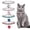 Red, variant on Cat Collar with Heart Pendant Adjustable Diamond Dog Necklace Sparkling Pet Jewelry for Small Dogs Puppies Cats Kittens Accessories White