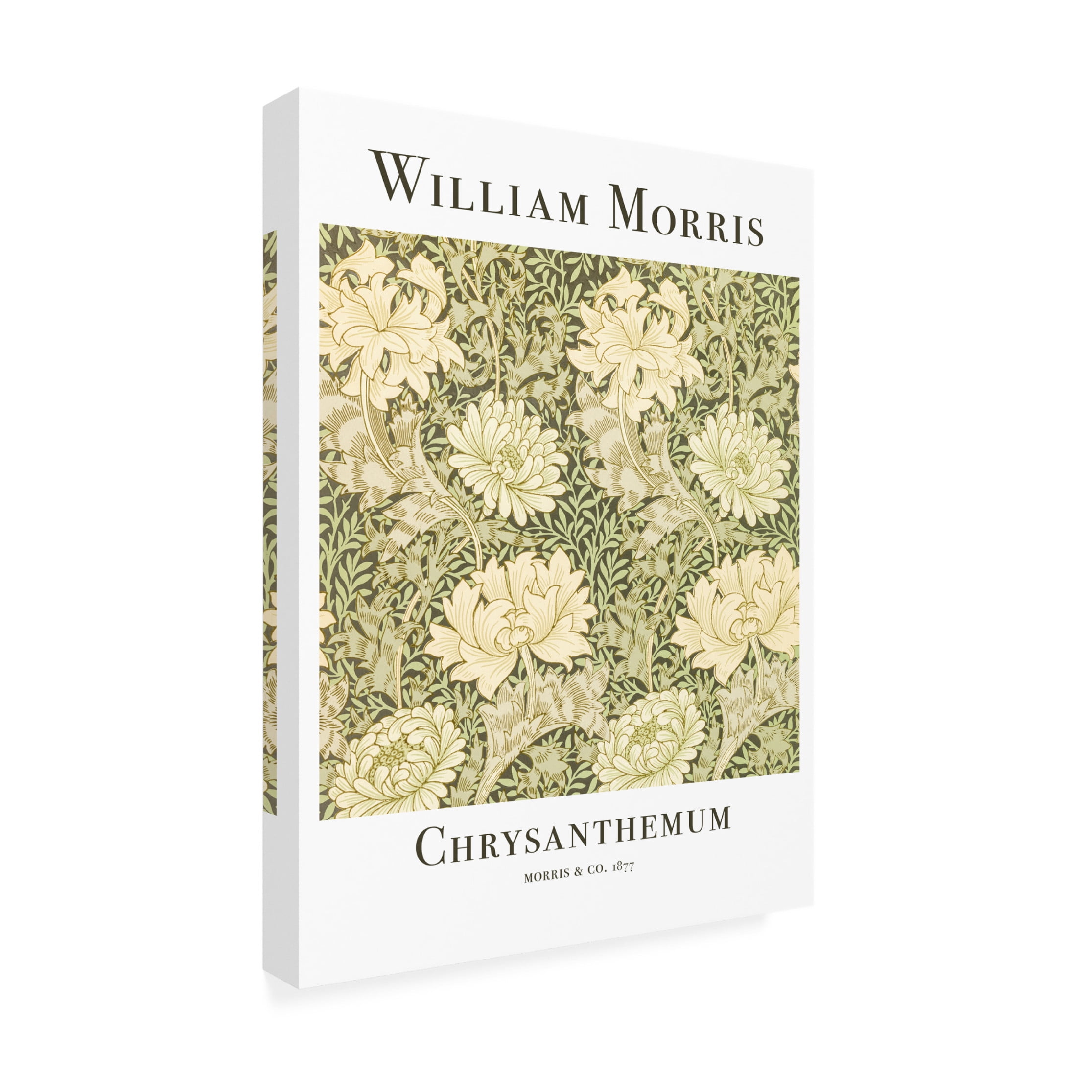 Trademark Fine Art Pictufy Chrysanthemum Canvas Wall Art