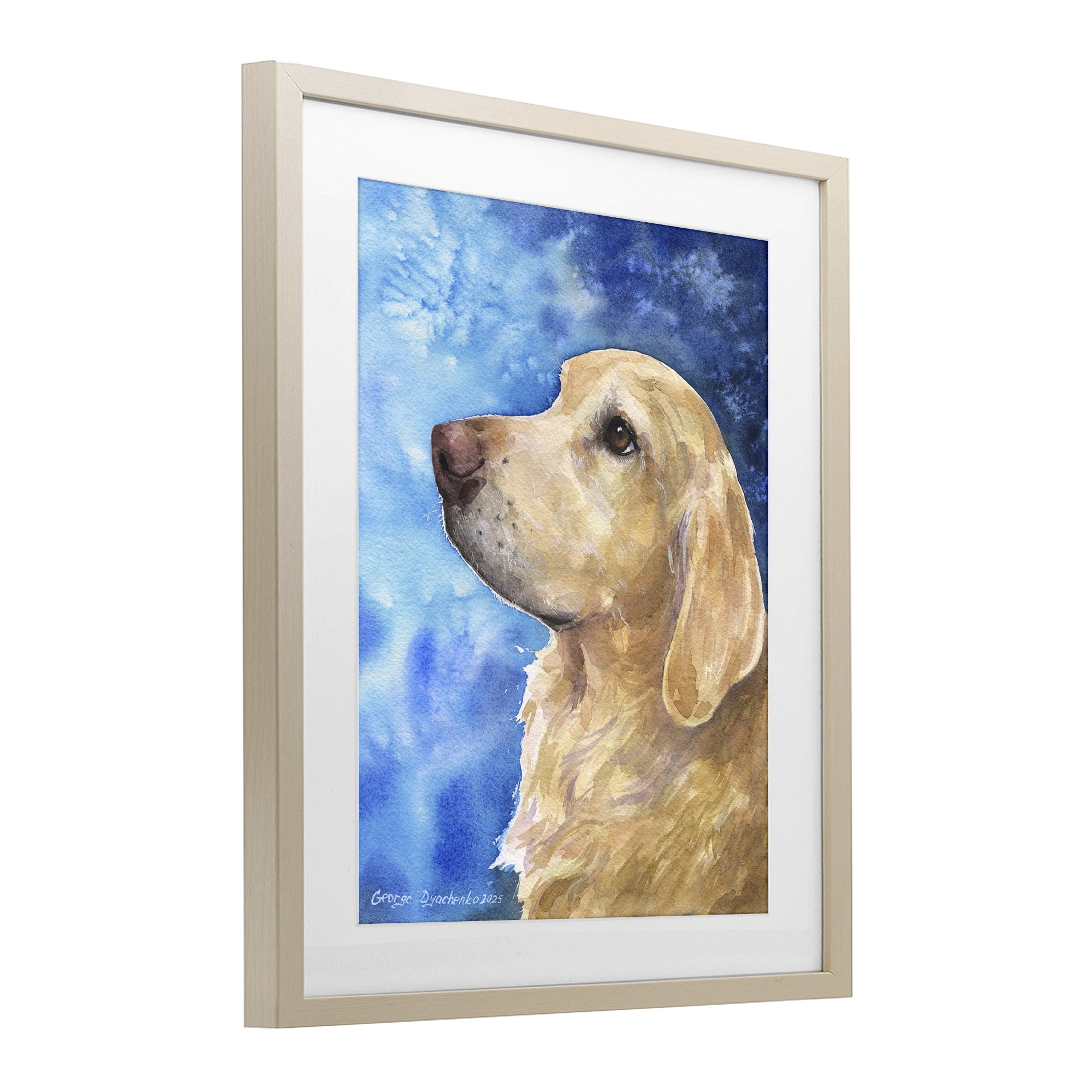 Stupell Industries Golden Retriever Portrait on Azure Birch Framed Print Under Glass, design by George Dyachenko