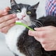 thumbnail image 2 of Cepillo de dientes para mascotas, limpieza bucal, limpiador de dientes grande y pequeño para gatos y perros, higiene dental, cepillado, suministros para mascotas, marco de metal portátil, 2 of 8
