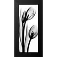 thumbnail image 2 of Koetsier, Albert 12x24 Black Modern Framed Museum Art Print Titled - Tulip in BandW2, 2 of 5
