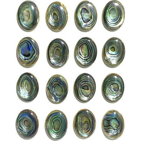 

[ABCgems] Gem-Quality New Zealand Abalone Shell (Gorgeous Thick Nacre- Exquisite Luster- Beautiful Iridescent Matrix) 15X20mm Oval Flat-Back Cabochons (Wholesale Lot- 16 Pieces)