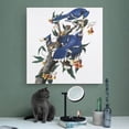 thumbnail image 4 of American Bird Artists John James Audubon Blue Jay Poster Posters Wall Art Painting Canvas Gift Living Room Prints Bedroom Decor Poster Artworks 16x16inch(40x40cm), 4 of 5