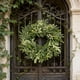thumbnail image 1 of CaiYueKe Artificial Eucalyptus Leaf Berry Wreath, Faux Greenery Garland, Home Decor, Front Door Hanging, Rustic Farmhouse, Wedding, Christmas, Fall, Year Round Decoration, Indoor Outdoor Use, 1 of 9