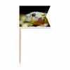 Marine Organism Small Tropical Fish Toothpick Flags Labeling Marking for Party Cake Food Cheeseplate