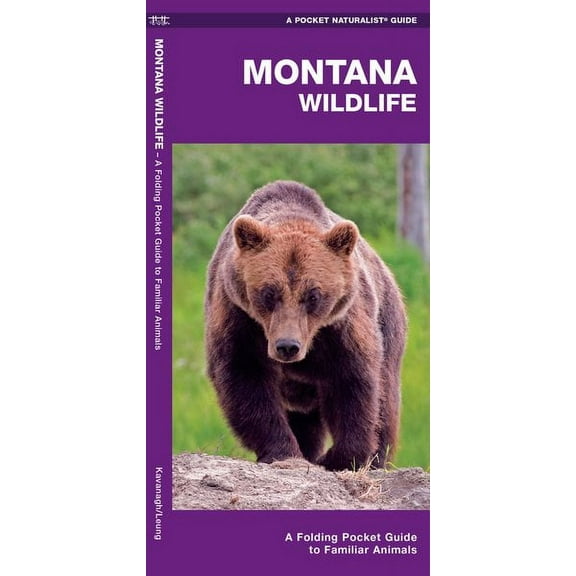 Pocket Naturalist Guides: Montana Wildlife: A Folding Pocket Guide to Familiar Animals (Other)