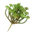 thumbnail image 5 of Zcyifa Artificial Succulent Artificial Succulent Plants Faux Succulent Fake Succulent Picks for Floral Arrangement Home Decoration (Green), 5 of 10