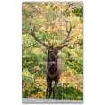thumbnail image 1 of Picture-Tiles.com: Deer Ceramic Tile Wall Mural WAL500457-35L. 24"W x 40"H using (15) 8" x 8" Ceramic Tiles-Satin Finish, 1 of 3