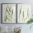 thumbnail image 6 of Wexford Home Runnel VII Premium Framed Print, 22.5" x 30.5" - Ready to Hang, Silver (Set of 2), 6 of 9