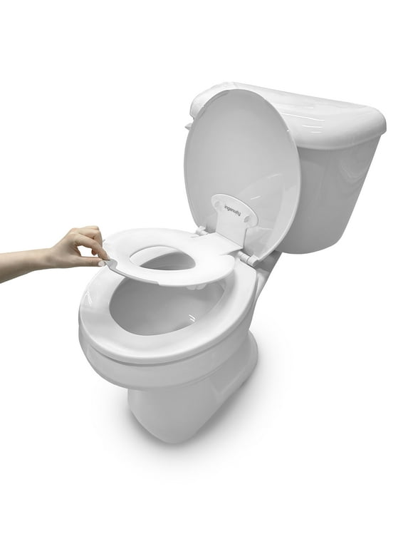 Potty Seats in Potty Training
