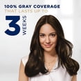 thumbnail image 5 of Clairol Nice’n Easy Permanent Hair Color, 2B Blue Black, 5 of 7
