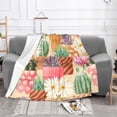 thumbnail image 2 of XMXT Flannel Throw Blanket for Couch, Colorful Succulent Pots Bed Sofa Decor Blankets for Home Bedroom, 40 x 30 inches, 2 of 9