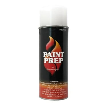 Stove Bright 1A80Y010 12 oz Paint Prep & Cleaner, High Temperature Spray Paint