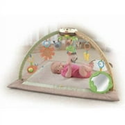 Fisher-Price My Little Snugabunny - Ultra Comfort Musical Gym